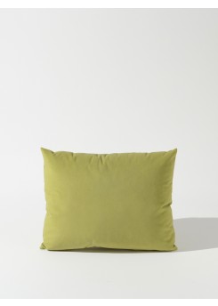 38 Lime