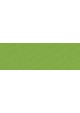 U50 - Lime
